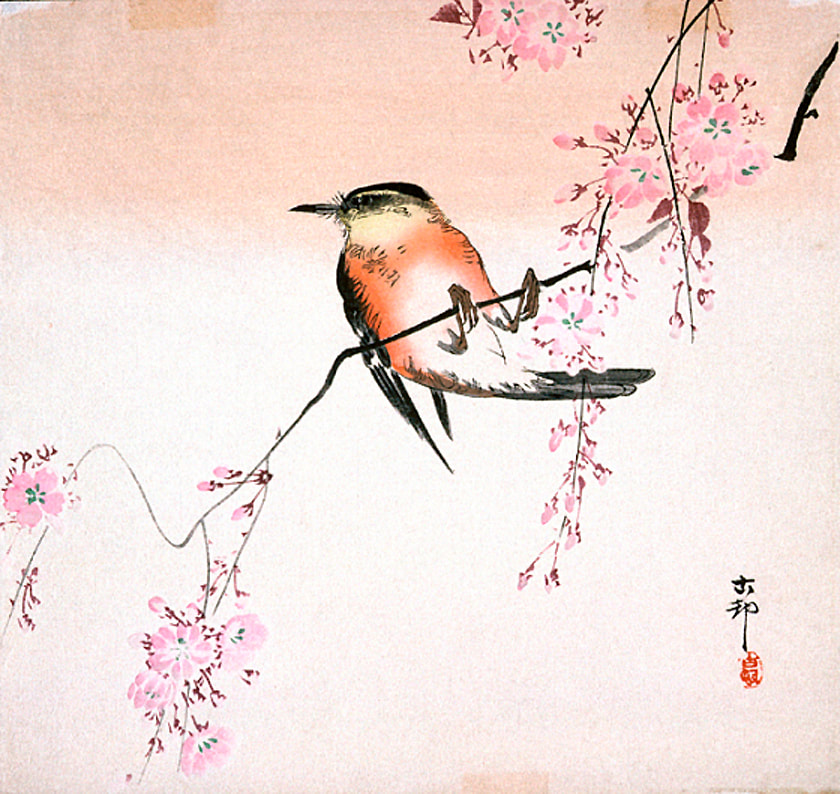 japanese cherry blossom art for kids