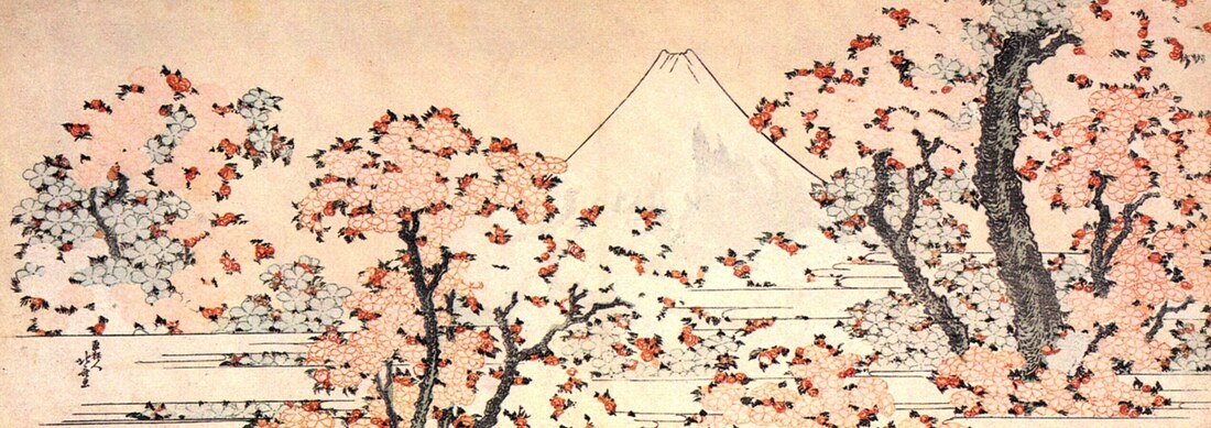japanese cherry blossom flower painting