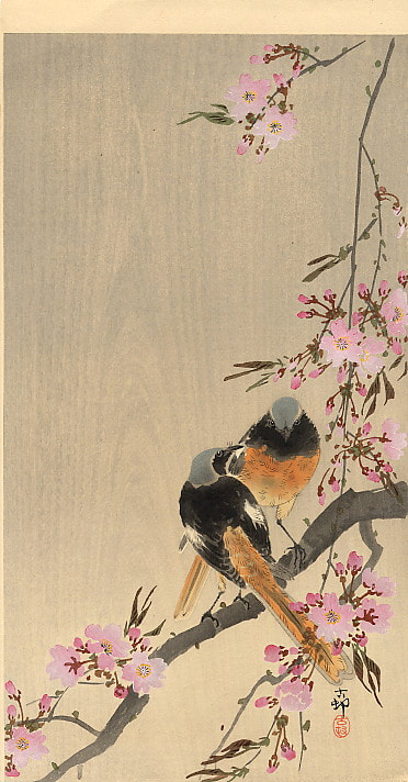 japanese cherry blossom flower painting